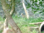 DSCF0164.JPG