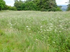 DSCF0075