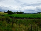 DSCF0078