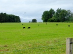 DSCF0081