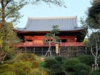 DSCF0246.JPG