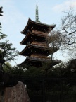 DSCF0248.JPG