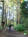 DSCF0264.JPG