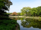 DSCF0298.JPG