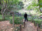 DSCF0299.JPG