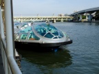 DSCF0303.JPG