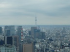 DSCF0334.JPG