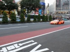 DSCF0338.JPG