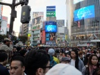 DSCF0340.JPG