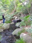 DSCF0349.JPG