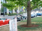 DSCF0353.JPG