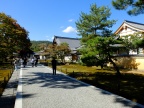 DSCF0378.JPG