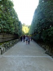 DSCF0385.JPG