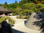 DSCF0387.JPG