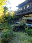 DSCF0389.JPG