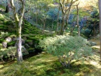 DSCF0391.JPG