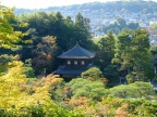 DSCF0394.JPG