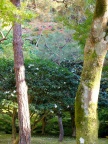 DSCF0397.JPG