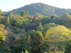DSCF0404.JPG