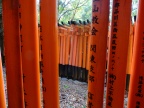 DSCF0425.JPG