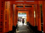DSCF0426.JPG