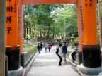 DSCF0427.JPG