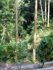 DSCF0428.JPG