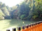 DSCF0429.JPG