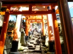 DSCF0437.JPG