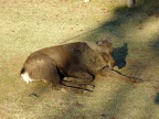 DSCF0451.JPG