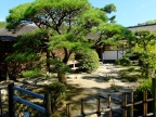 DSCF0466.JPG