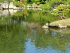 DSCF0469.JPG