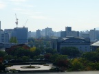 DSCF0481.JPG