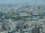DSCF0501.JPG