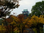 DSCF0507.JPG