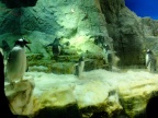 DSCF0528.JPG