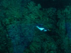 DSCF0540.JPG