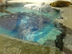 DSCF0548.JPG