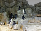 DSCF0550.JPG