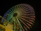 DSCF0551.JPG