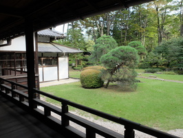 DSCF7445