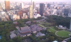 IMAG0206