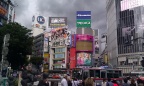 IMAG0219