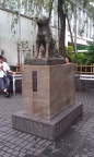 IMAG0220