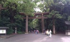 IMAG0224