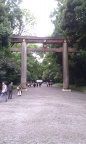 IMAG0228