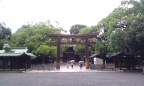 IMAG0229