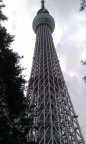 IMAG0231