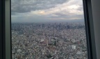 IMAG0238