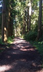 IMAG0243